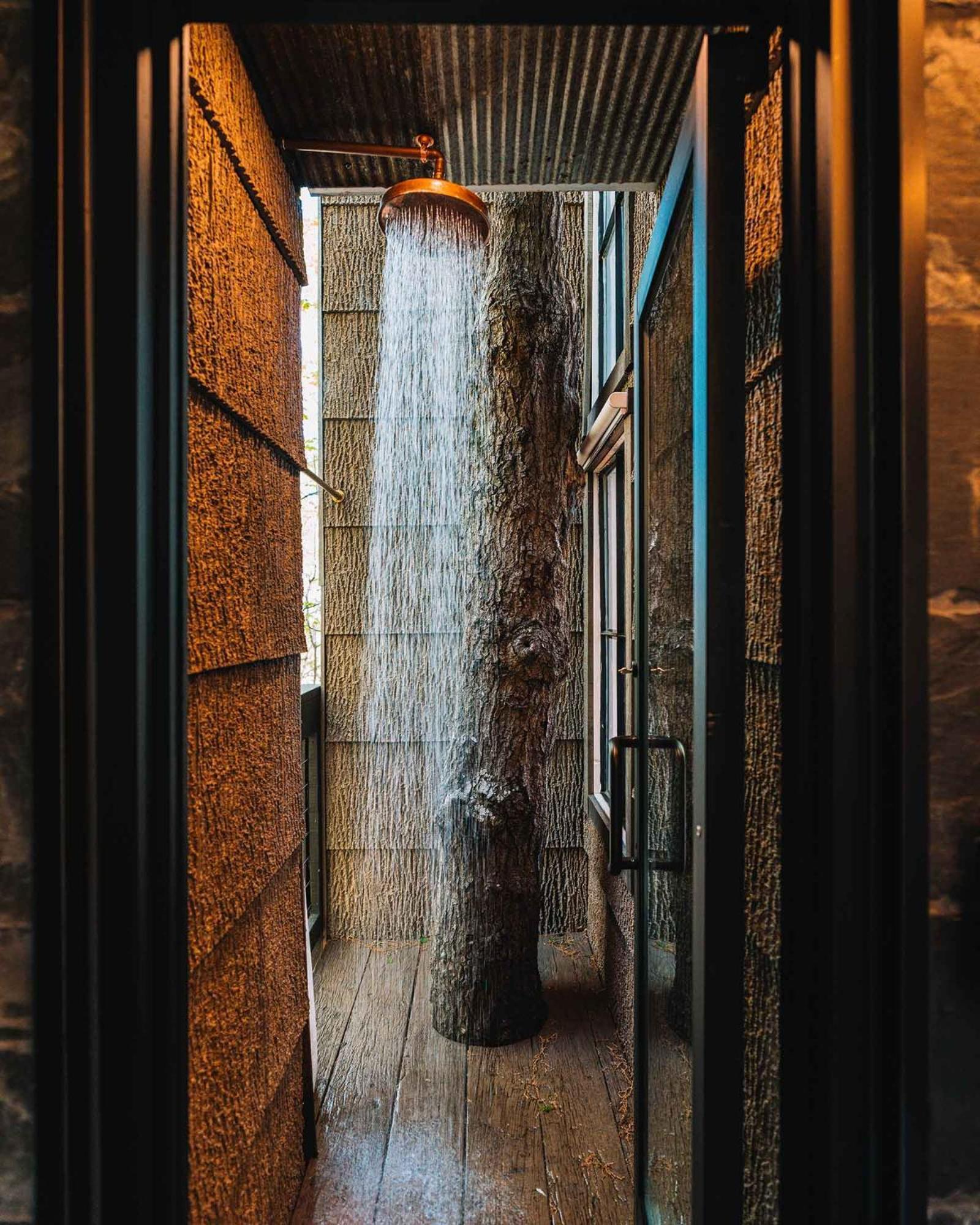 Treetop Hideaways: Wood Lily Treehouse In 查塔努加 外观 照片